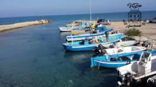 a group of boats are docked in the water at ViDa Apartments casa vacanze in Frigole