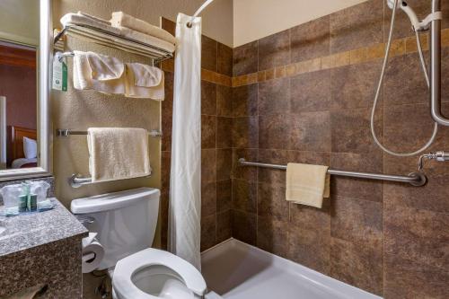 a bathroom with a white toilet and a shower at Best Western Canyon De Chelly Inn in Chinle