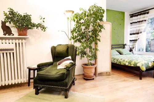 a living room with a chair and a plant at Lovely Garden Flat near Royal Park in Warsaw