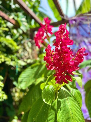 Valentina's House – Photos 2