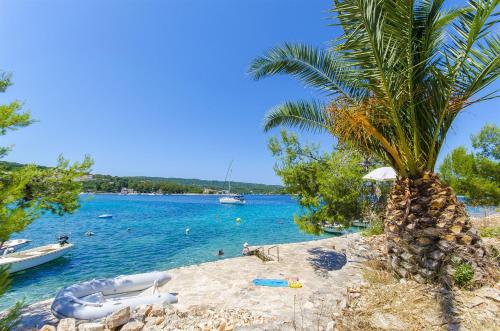 a beach with a palm tree and a body of water at Apartments Kazimir in Nečujam