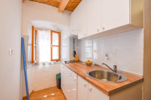 eine Küche mit einer Spüle und einer Arbeitsplatte in der Unterkunft Apartment Fjaka in Žman