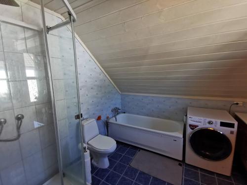 a bathroom with a toilet and a tub and a sink at Mikael's Bed & Spa apartment in Sandefjord