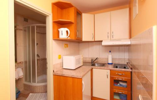 małą kuchnię ze zlewem i kuchenką mikrofalową w obiekcie Apartments Jole - 70m from the sea w mieście Vrboska