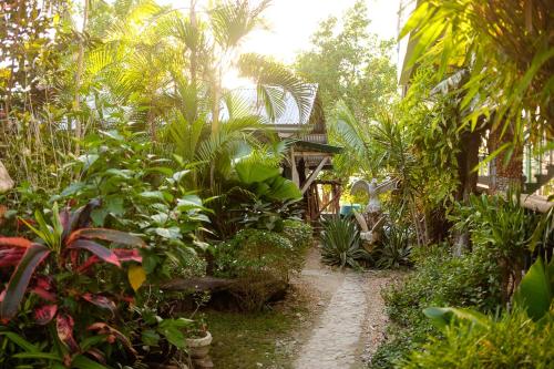 un chemin à travers un jardin de plantes et d'arbres dans l'établissement The Three P Beach Resort & Dive Center, à Romblon