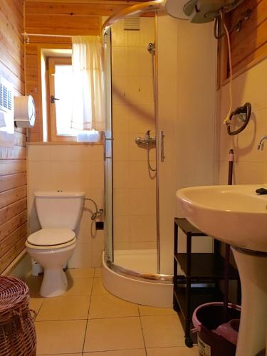 a bathroom with a shower and a toilet and a sink at Łebski Kemping in Łeba