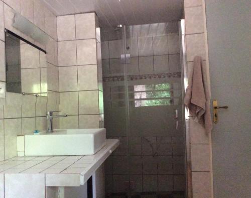 een badkamer met een wastafel en een douche bij TI 'BICOK in Entre-Deux