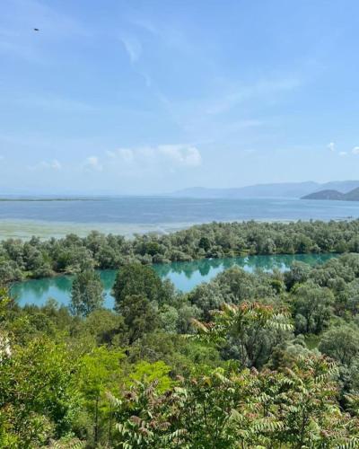 a view of a river with trees and water at Luxury House Petrovic - Vranjina Skadar Lake in Podgorica