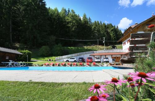 Gallery image of Pension Alpeggerhof in Terento