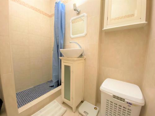 La petite salle de bains est pourvue d'un lavabo et d'une douche. dans l'établissement Apartamento PAOLA Calpe, à Calp
