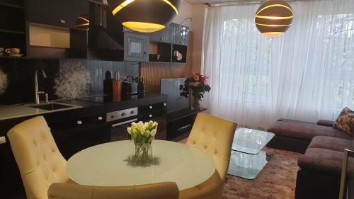霍穆托夫的住宿－Květinový apartmán A3B v Chomutově，厨房以及带桌椅的起居室。