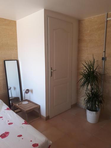 une chambre avec une porte et une plante en pot dans l'établissement Mazet des lavandes, à Saint-Quentin-la-Poterie