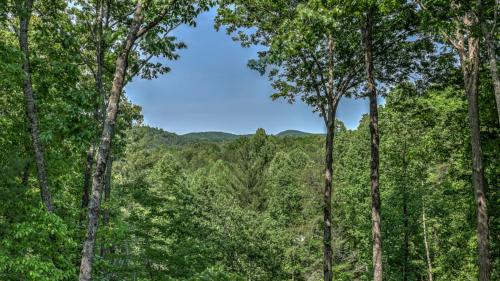 a group of tall trees in a forest at Aska Retreat in Blue Ridge