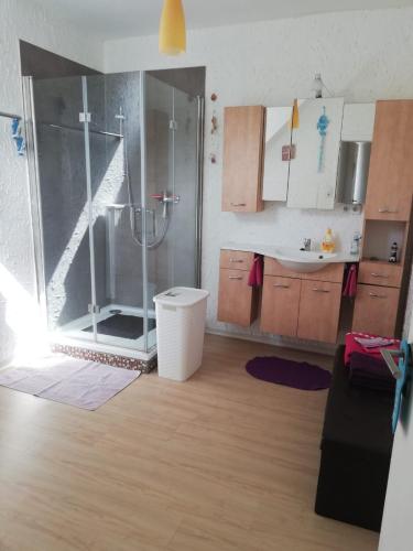 ein Bad mit einer Dusche und einem Waschbecken in einem Zimmer in der Unterkunft Ferienwohnungen Frank in Cochem