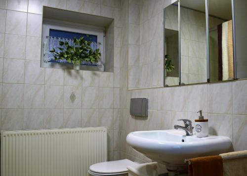 a bathroom with a sink and a toilet and a mirror at Ferienwohnung Jakobsweg in Dietrichingen