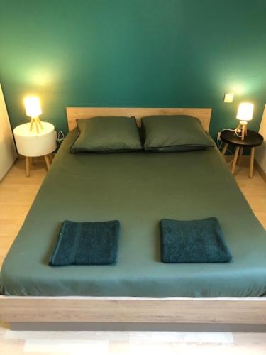 1 cama verde grande con 2 almohadas azules. en T2 Pont Jumeaux, en Toulouse