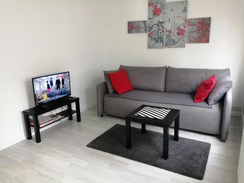 ein Wohnzimmer mit einem Sofa und einem TV in der Unterkunft Apartment Teodora in Belgrad