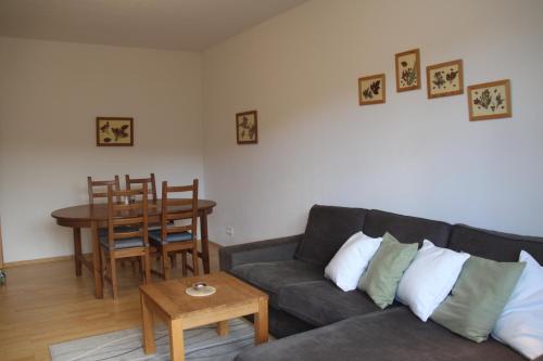 什平德莱鲁夫姆林Cozy apartment in Bedřichov - Špindlerův Mlýn的客厅里有一张沙发和一张桌子。
