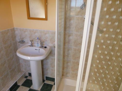 a bathroom with a sink and a shower at Ferryview B&B V23 X577 in Cahersiveen
