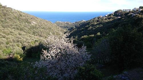 a view of a mountain with the ocean in the background at A Tana di a Volpe in Alzetu