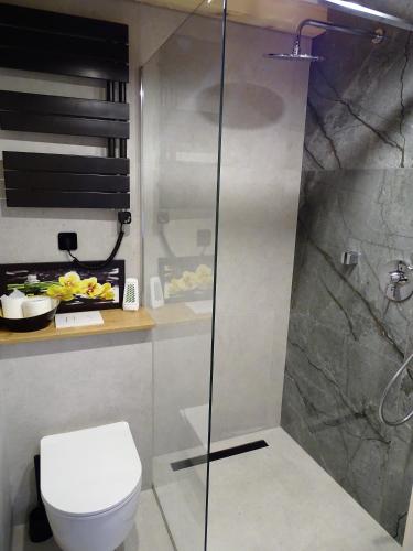 a bathroom with a toilet and a glass shower at Ptasia Zatoka in Augustów