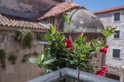 Olive grove of Šibenik - Apartment with Gallery