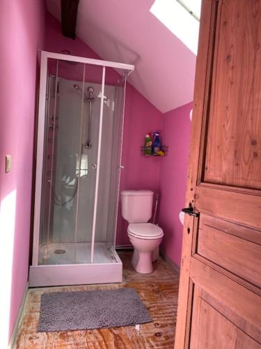 a pink bathroom with a shower and a toilet at Gîte Bucolique- Belle Epoque in Durbuy