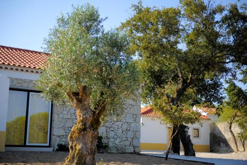 two trees in front of a building at Casa das Rendufas- Turismo Rural com Figos in Rendufas da Estrada