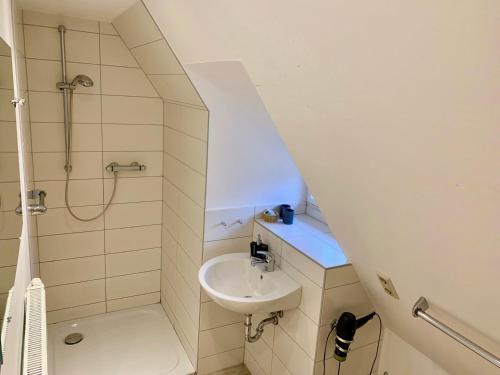 een kleine badkamer met een wastafel en een douche bij Forsthaus Siehdichum in Dammendorf