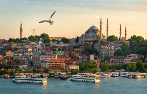 um pássaro voando sobre uma cidade com barcos na água em Perazre Hotel em Istambul