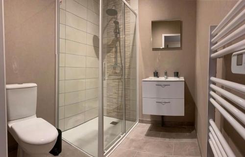 uma casa de banho com um chuveiro, um WC e um lavatório. em Résidence du Lac - Bourbon-Lancy em Bourbon-Lancy