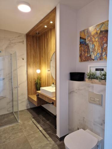 ein Bad mit einem WC, einem Waschbecken und einer Dusche in der Unterkunft Apartamenty Szafirowe w Mielnie in Mielno
