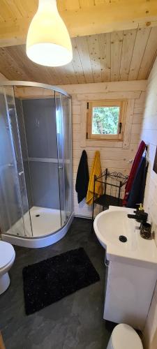 W łazience znajduje się prysznic, toaleta i umywalka. w obiekcie Siedlisko Natura w mieście Sułomino