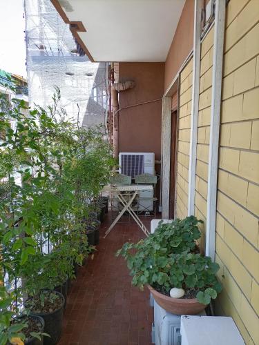 GIANNA HOUSE photo 25