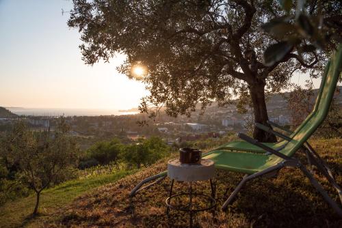 a green chair sitting under a tree with a coffee mug at Istrian Casa Ladonia by Locap Group in Portorož