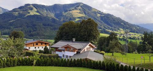 a house in a field with mountains in the background at Appartements - Haus Sieberer in Brixen im Thale