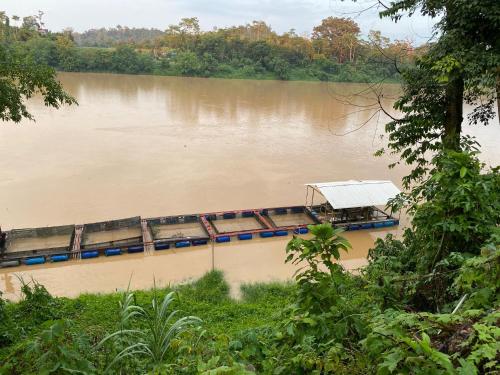 a boat on a river with muddy water at Teratak Sekayu ( Room Stay ) in Kuala Kerau