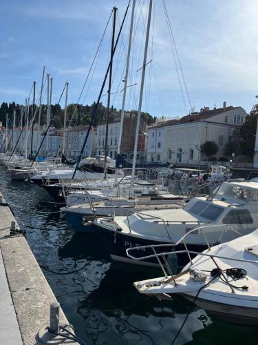 a bunch of boats docked in a harbor at Apartment Lanterna in Piran