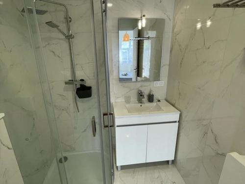 baño blanco con ducha y lavamanos en Appartement Aix-les-Bains, 2 pièces, 4 personnes - FR-1-617-55, en Aix-les-Bains