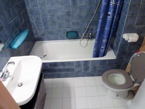 een blauw betegelde badkamer met een toilet en een wastafel bij Appartement Saint-Jean-d'Aulps, 1 pièce, 4 personnes - FR-1-573-88 in Saint-Jean-dʼAulps