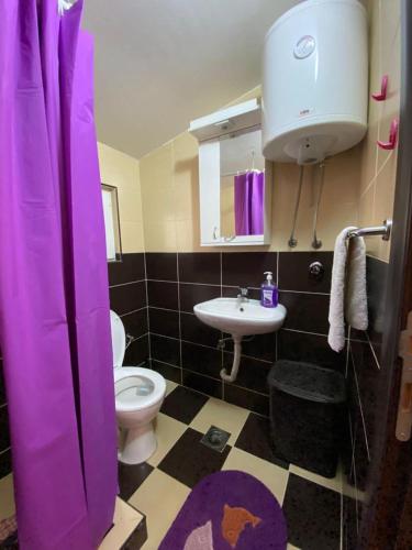 a bathroom with a toilet and a sink at Apartmani LALA Canj in Čanj