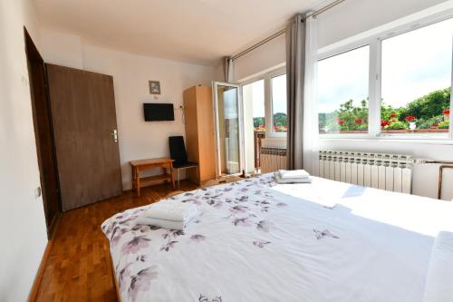 a bedroom with a large bed in a room with windows at Apartment Marija Zupan in Rakovica