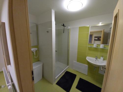 een badkamer met een wastafel, een toilet en een douche bij apartmány LUHA in Luhačovice