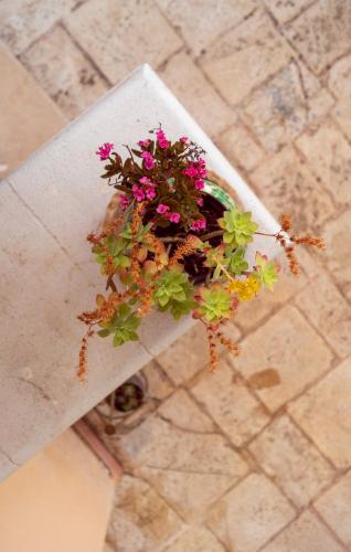 Φωτογραφία από το άλμπουμ του Villa Gialì σε Giovinazzo