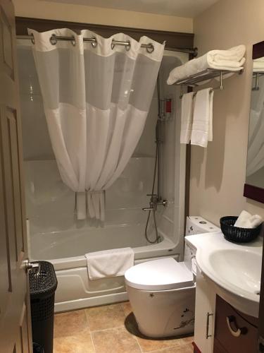 a bathroom with a shower with a toilet and a sink at The Greensboro Inn in New Minas