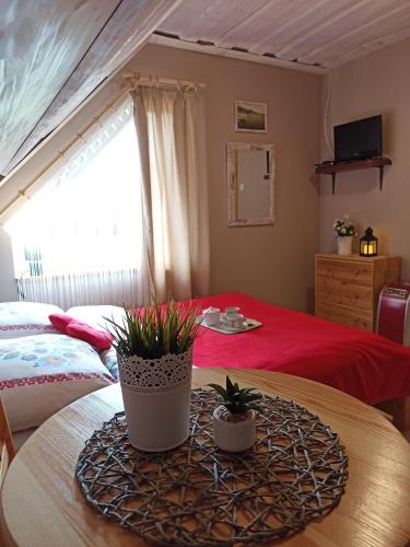 a bedroom with a table with two potted plants on it at Rodzinny zakątek "U Głuszków" Bieszczady in Myczkowce