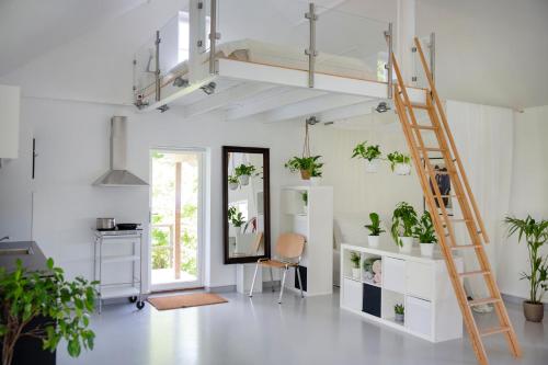 a room with a loft bed with plants and a ladder at Studio Solbakke, modern studio close to sea in Rød