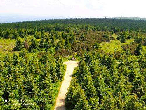 an aerial view of a dirt road through a forest at Penzion selský dvůr in Raspenava