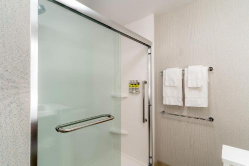 uma casa de banho com um chuveiro e uma porta de vidro em Holiday Inn Express & Suites - Milwaukee West Allis, an IHG Hotel em West Allis