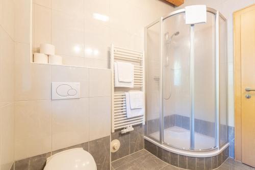 a bathroom with a shower and a toilet at Appartements Olympia in Mayrhofen